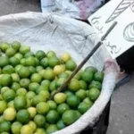 أسعار الخضروات والفاكهة في الغربية اليوم