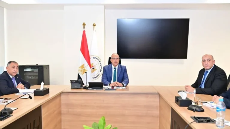 الحفاظ على المنشآت المائية التاريخية في مصر