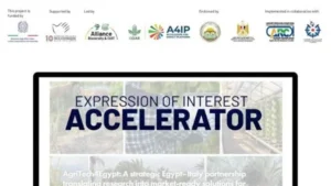 دعم الابتكار الزراعي في مصر عبر مسرّعات الأعمال