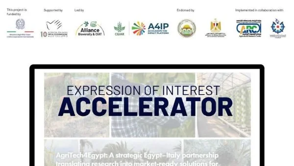 دعم الابتكار الزراعي في مصر عبر مسرّعات الأعمال
