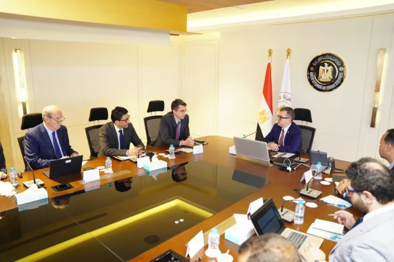 وزير التخطيط يبحث استراتيجية الاستثمار الأجنبي المباشر