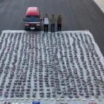 ضبط 2 طن مخدرات في السويس بقيمة 116 مليون جنيه