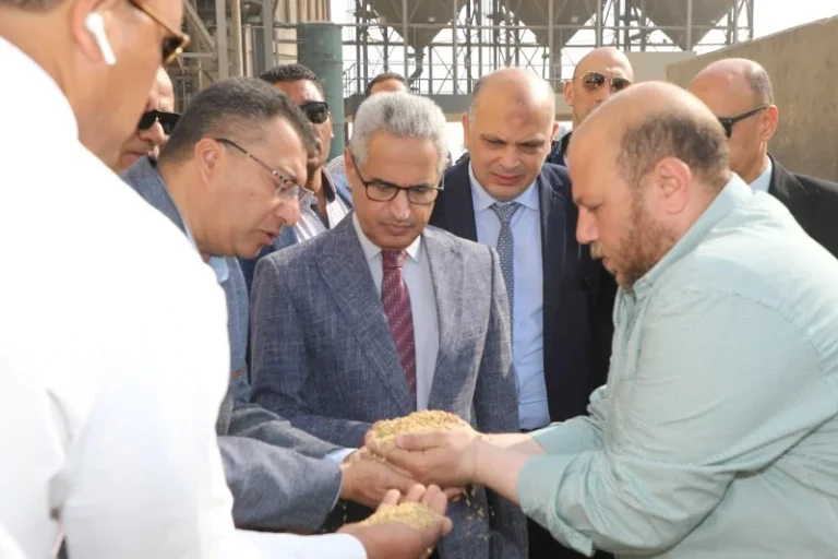 محافظ بني سويف يتفقد توريد القمح في مجمع المطاحن