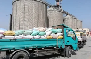 شون البحيرة تستقبل 19 ألف طن قمح منذ بدء التوريد