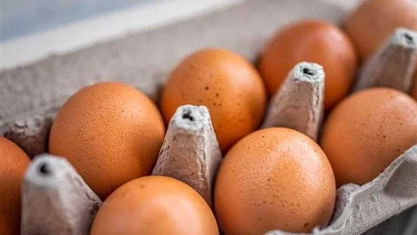 استقرار أسعار البيض في السوق المصرية اليوم