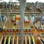 ندوة بمكتبة الإسكندرية لتعزيز استقرار الأسرة