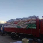 توريد 89 ألف طن قمح في المنيا منذ بداية موسم 2026