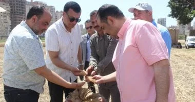 انطلاق حصاد القمح في مدرسة سوهاج الثانوية الزراعية