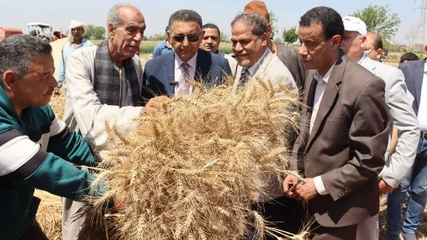 محافظ القليوبية يشرف على حصاد القمح لعام 2026
