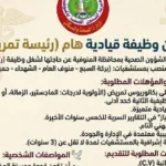 وظائف شاغرة في المنوفية لرئيسة تمريض