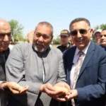 محافظ القليوبية يتفقد موسم حصاد القمح في قها