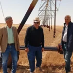 افتتاح موسم حصاد المحاصيل الاستراتيجية بالفرافرة