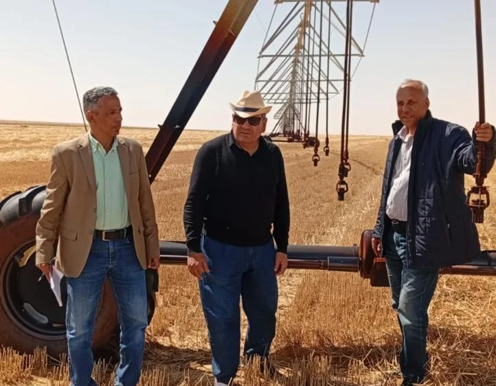 افتتاح موسم حصاد المحاصيل الاستراتيجية بالفرافرة