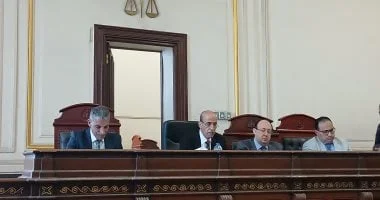إحالة أوراق متهم بالتعدي على ابنة شقيقته للإفتاء
