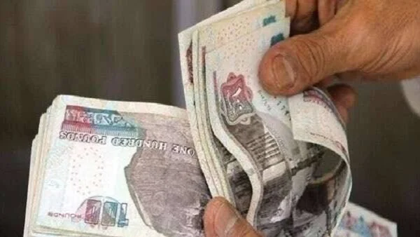 زيادة أجور العاملين بالدولة تقترب مع بدء العد التنازلي