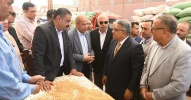 35 ألف طن قمح مستورد في الدقهلية