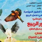احتفالية بالربيع في مركز إبداع بيت العيني