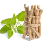 فوائد استخدام الأشواجندا وأسباب انتشارها