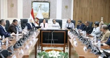 لقاء يجمع محافظ الوادي الجديد مع نائب محافظ جنوب سيناء