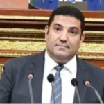 لقاء السيسي ورئيس جامعة هيروشيما يعزز التعليم العصري