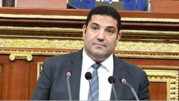لقاء السيسي ورئيس جامعة هيروشيما يعزز التعليم العصري