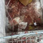 ضبط 820 كيلو لحوم ودواجن فاسدة في الغربية