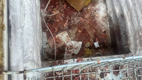 ضبط 820 كيلو لحوم ودواجن فاسدة في الغربية