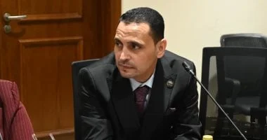 جهود مصرية لتحقيق السلام وإعلان وقف إطلاق النار