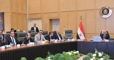 وزير الاستثمار يرأس اجتماع العلاقات المصرية الكورية