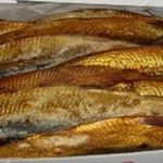 ضبط 8 أطنان رنجة فاسدة في مصنع بالدقهلية