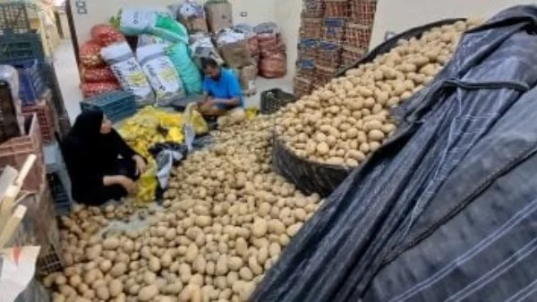 انخفاض أسعار الخضراوات والفاكهة في الوادي الجديد