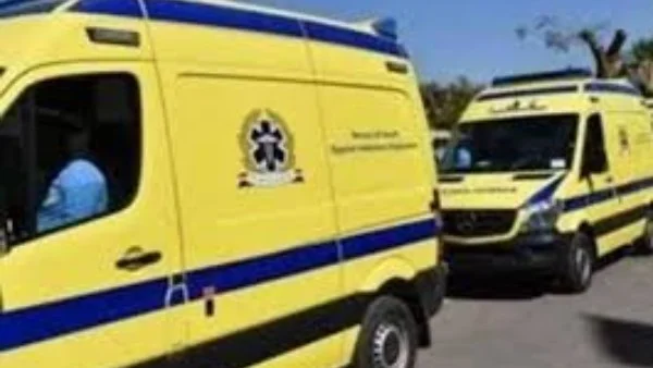 مأساة في الإسكندرية: سقوط سيدة من الطابق الـ13