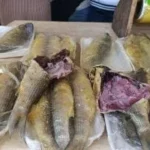 ضبط أسماك فاسدة في بورسعيد خلال شم النسيم