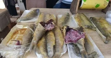 ضبط أسماك فاسدة في بورسعيد خلال شم النسيم