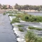 عيد الربيع في مصر: دليل المتنزهات العامة والوجهات الترفيهية