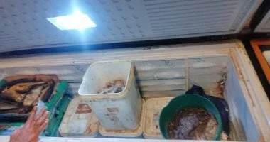 ضبط 350 كجم من الأسماك المملحة غير الصالحة بالإسكندرية
