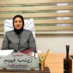 تحذير برلماني لحماية الأسرة المصرية ودعم النساء