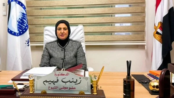 تحذير برلماني لحماية الأسرة المصرية ودعم النساء