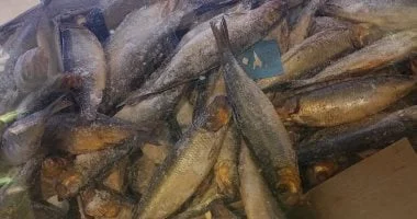 نصائح وزارة الصحة لاختيار رنجة وفسيخ آمنين في شم النسيم