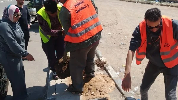 تحسين المظهر الحضاري في حي ثالث بالإسماعيلية