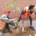 الإسماعيلية تستعد لاستقبال زوار شم النسيم