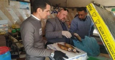 جهود مكثفة في كفر الشيخ لضبط الأسواق وحماية المواطنين