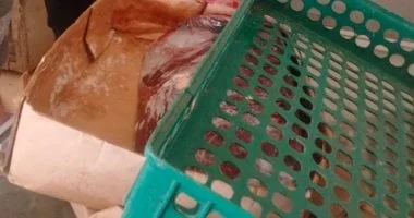 ضبط طن من لحوم منتهية الصلاحية بالإسكندرية