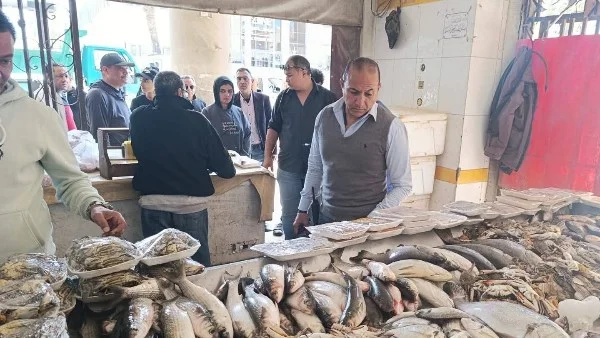 ضبط أسماك فاسدة في بورسعيد خلال حملات رقابية