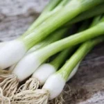 فوائد تناول البصل الأخضر للجسم