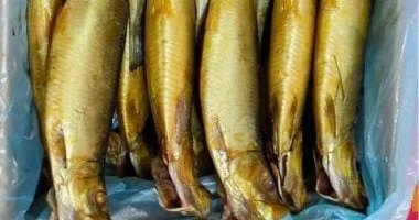 طرح الرنجة والأسماك بمنافذ المجمعات الاستهلاكية