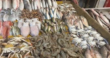 الزراعة تعزز الرقابة على الأسماك المملحة في شم النسيم