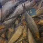 ملاحقات تموينية ضد “فسيخ الرصيف” مجهول المصدر