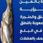 وزارة الصحة تحذر من التسمم الممباري وأعراضه