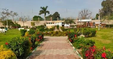 أسعار الأنشطة الترفيهية في القناطر الخيرية